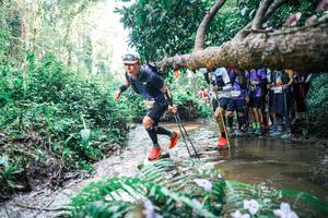 BIB: 
                            <button type="button" onclick="openModal(25468047)" class="btn btn-primary btn-sm float-right btn-popup" data-toggle="modal" data-target=".modal-high-quality">
                        <i class="fas fa-shopping-cart"></i> Add to Cart
                    </button>
                                            <button type="button" onclick="isThisMe(25468047, true)" class="btn btn-success btn-sm float-right btn-popup btn-isme hidden" data-toggle="tooltip" data-placement="bottom" title="นี่คือรูปของคุณใช่ไหม คลิกที่นี่เพื่อเอาเข้าอัลบั้ม">
                        <i class="fas fa-plus"></i> Add to album
                    </button>
                    <button type="button" onclick="isThisMe(25468047, false)" class="btn btn-warning btn-sm float-right btn-popup btn-isnotme hidden">
                        <i class="fas fa-ban"></i> Remove from album
                    </button>